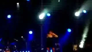 Senglar Rock 2008, Amaral 1