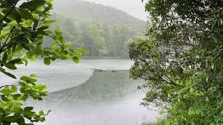 Exploring a Lake Trail at Vogel State Park - Blairsville, GA. - Mini Hike - Easy