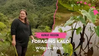 Foraging Kalo with Lei Wann