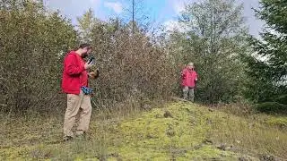 Moss Appeal