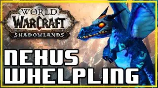 Nexus Whelping Pet Battles! World of Warcraft Competitive Battle Pet Twitch Stream Highlights!