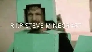 The Minecraft Story 2