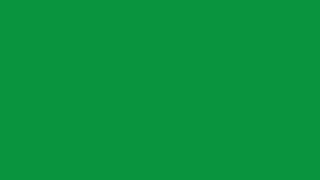 10 Hours of Spanish Green #009150 0,145,80