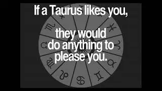 Daily Taurus Quotes Collection 1