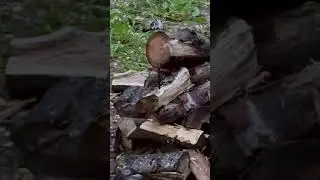 Shooting a Benchmade SOCP Dagger for testing purposes!