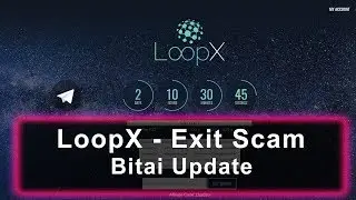 LoopX Exit Scam - Bitai Update