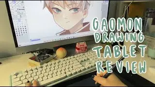 Speedpaint + GAOMON PD1161 Pen Display Review!