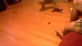 Toy car scares dog