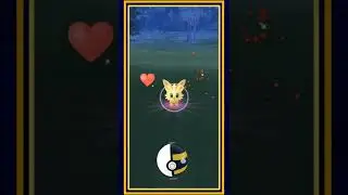 #Lillipup #shiny #pokemongo