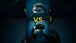 Killer Whale vs Great White Shark, Giant Squid & More | Deep Sea Monster Showdown! 🌊🦈
