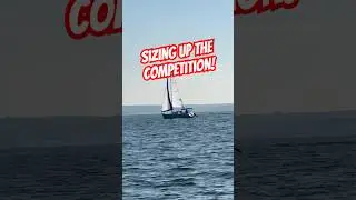 Sizing Up The competition! #sailboat #sailing #sailor