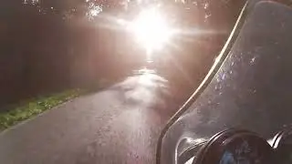 Fahrt in der Parklandschaft des M&uuml;nsterlandes