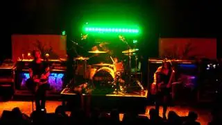 Sick Puppies 