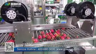 Automatic Fruit(Dragon fruit,Pitaya) washing grading sorting weight packing line--Gosunm machinery
