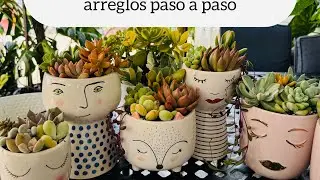 PLANTANDO hermosas SUCULENTAS tips para arreglos suculentos paso a paso