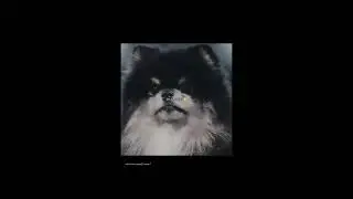 Happy Birthday Yeontan!🥺