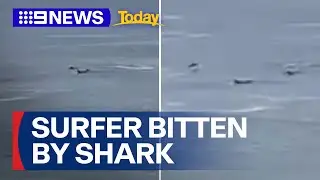Surfer survives shark attack off SA's Kangaroo Island | 9 News Australia