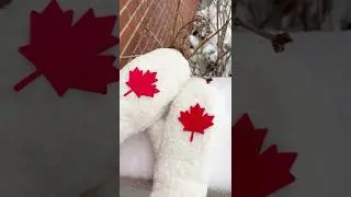 DIY Sherpa Fleece Mittens | Free Pattern