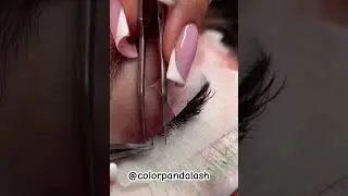 Lash With Me 😁 #lashfactory