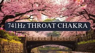 741Hz Piano & Cello Music, Emotional Release & Cleansing Meditation,Throat Chakra Healing & Expressi
