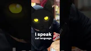 Разница TALK SPEAK TELL SAY 🔥