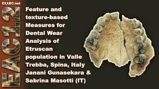 Feature and texture-based Measures for Dental Wear Analysis of Etruscan population in Valle Trebba,