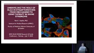 Unraveling DLG4 in Synaptopathies: From Mechanism to Gene Therapy in SHINE Syndrome