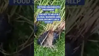 GRASSROOTS SOLUTIONS For GLOBAL WARMING @ HELPING in food security The key for  soil and water.