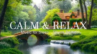 Gentle Relaxing Music – Calm Thoughts, Stress Relief, Deep Sleep