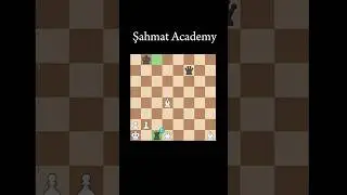 Brilliant yoxsa Blunder?🤯♟️Sizcə qaralar niyə belə oynadı?! #şahmat #chess #brilliantmove