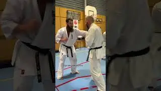 technical training sparring Shinkyokushinkai karate seminar Colmar, France 13-15.06.2025