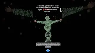 Why human Body has Different Organs: Genetics or Epigenetics