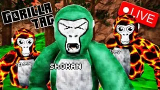 SHOKAN vs HHH ( LIVE COMP ) Watch the Pros Live