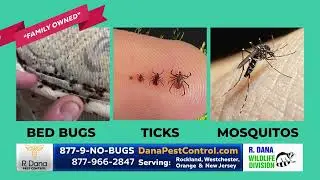 R Dana Pest Control- Family Owned/Discreet professional- Produced by sr-video.com 845-429-1116