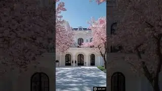 Spring house decor #love #shorts #architecture #interiordesign #pink #spring #2025 #reels