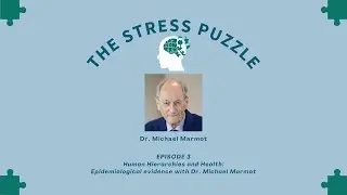 Stress Puzzle Episode 3 - Human Hierarchies and Health with Dr. Michael Marmot