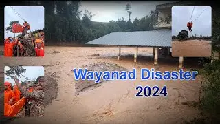 The Wayanad Disaster Causes, Impact, and Recovery Efforts