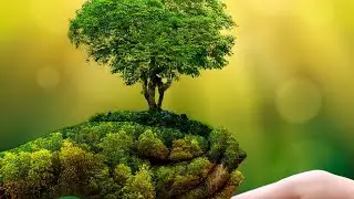 Crystal Nature#musicforbackground #instrumentalmusic