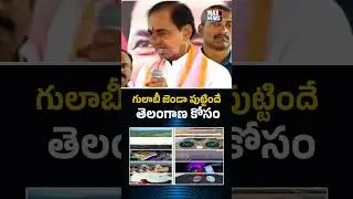 గులాబీ జెండా పుట్టిందే తెలంగాణ కోసం..| KCR Video on Telangana |  MAX News Telangana