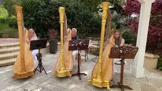 Jupiter  - Quarantine Harp Trio