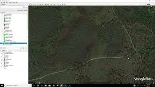 Green Swamp WMA  First time scouting