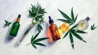 Green Leaf Hills CBD Oil:-100% Legal, Safe to Try & Purchase!