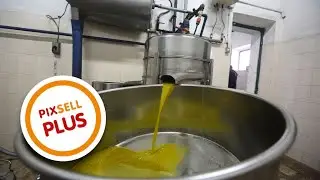 Tradicionalan način prerade maslina u uljari Zadruga | PIXSELL PLUS