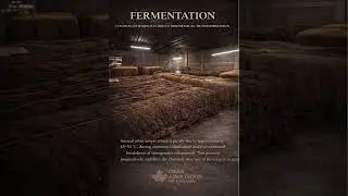 FERMENTATION &mdash; CONTROLLED THERMALLY-DRIVEN BIOCHEMICAL TRANSFORMATION