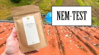Sunday Natural - NAC Pulver (N-Acetyl-L-Cystein) | NEM-TEST