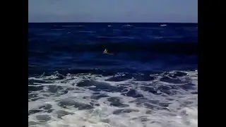 Swimming in the Atlantic ocean