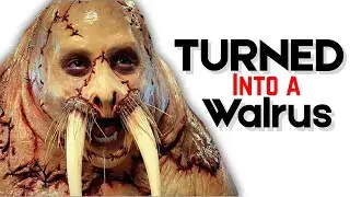 MAN turned into a Walrus for Experiments... But It Went Wrong - Tusk (2014) Movie Explained हिन्दी