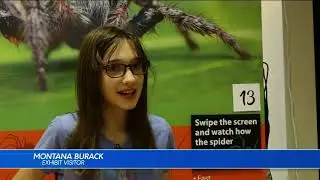 Arachnid Museum stream