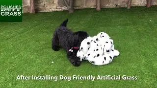 Artificial Grass For Dogs, No Smell, No Discolouring