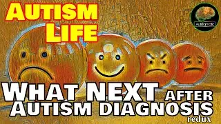 Autism Life: What next after AUTISM Diagnosis? (redux)